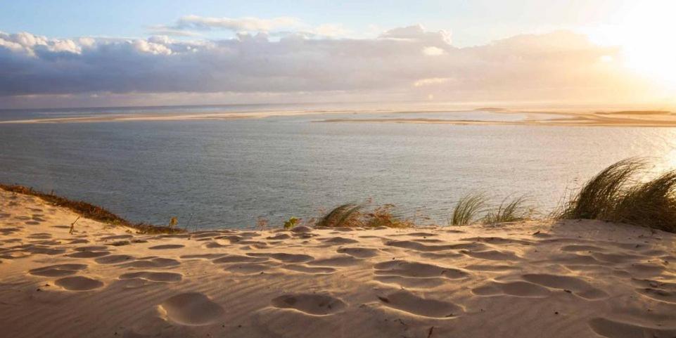 A La Brise Du Ferret Hotel Lège-Cap-Ferret Eksteriør billede
