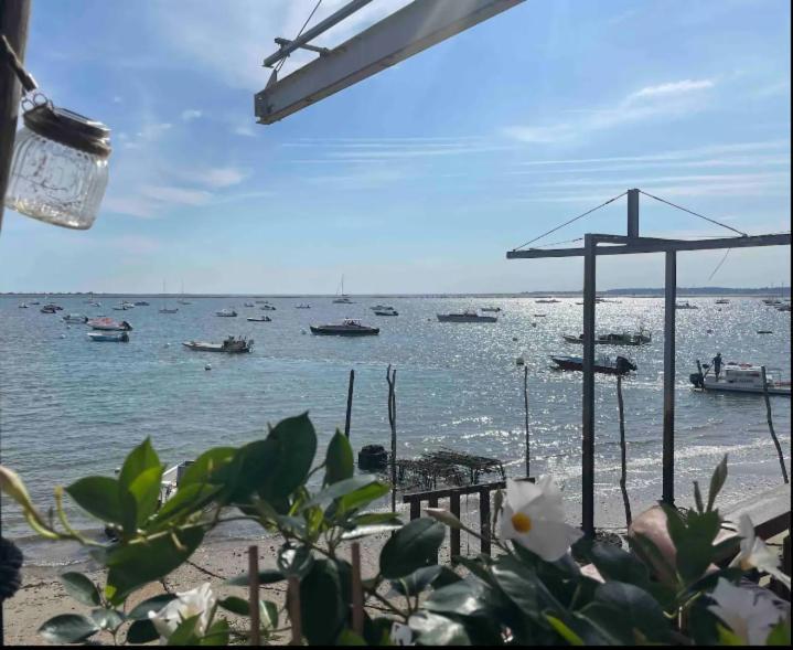 A La Brise Du Ferret Hotel Lège-Cap-Ferret Eksteriør billede