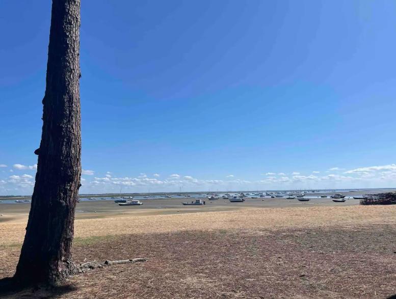 A La Brise Du Ferret Hotel Lège-Cap-Ferret Eksteriør billede