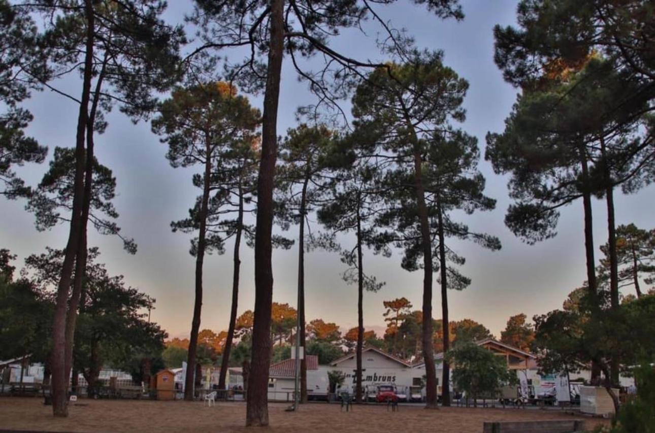A La Brise Du Ferret Hotel Lège-Cap-Ferret Eksteriør billede
